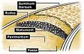 اضغط على الصورة لعرض أكبر. 

الإسم:	romeroadbuild.jpg 
مشاهدات:	590 
الحجم:	9.2 كيلوبايت 
الهوية:	774016