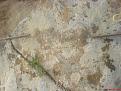 اضغط على الصورة لعرض أكبر. 

الإسم:	DSC00092.JPG 
مشاهدات:	348 
الحجم:	534.3 كيلوبايت 
الهوية:	774166