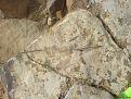 اضغط على الصورة لعرض أكبر. 

الإسم:	DSC00094.JPG 
مشاهدات:	282 
الحجم:	467.8 كيلوبايت 
الهوية:	774168