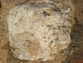 اضغط على الصورة لعرض أكبر. 

الإسم:	DSC00096.JPG 
مشاهدات:	158 
الحجم:	561.1 كيلوبايت 
الهوية:	774170