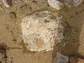 اضغط على الصورة لعرض أكبر. 

الإسم:	DSC00097.JPG 
مشاهدات:	167 
الحجم:	467.2 كيلوبايت 
الهوية:	774171