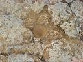 اضغط على الصورة لعرض أكبر. 

الإسم:	DSC00099.JPG 
مشاهدات:	139 
الحجم:	454.0 كيلوبايت 
الهوية:	774173