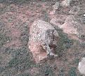 اضغط على الصورة لعرض أكبر. 

الإسم:	im13.JPG 
مشاهدات:	198 
الحجم:	273.7 كيلوبايت 
الهوية:	830870