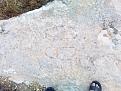 اضغط على الصورة لعرض أكبر. 

الإسم:	IMG_20190901_065846.jpg 
مشاهدات:	909 
الحجم:	466.0 كيلوبايت 
الهوية:	839229
