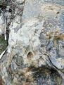 اضغط على الصورة لعرض أكبر. 

الإسم:	IMG_20191206_150049-768x1024.jpg 
مشاهدات:	1011 
الحجم:	204.2 كيلوبايت 
الهوية:	846295