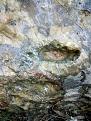 اضغط على الصورة لعرض أكبر. 

الإسم:	IMG_20191206_150013-768x1024.jpg 
مشاهدات:	821 
الحجم:	274.8 كيلوبايت 
الهوية:	846296