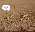 اضغط على الصورة لعرض أكبر. 

الإسم:	Screenshot_٢٠٢٠٠٤٠١_١٦٤١٢٦.jpg 
مشاهدات:	732 
الحجم:	293.6 كيلوبايت 
الهوية:	852437