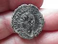 Carausius-radiate-from-Headbourne-4-1024x768.jpg