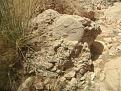 اضغط على الصورة لعرض أكبر. 

الإسم:	sahan.jpg 
مشاهدات:	1833 
الحجم:	61.1 كيلوبايت 
الهوية:	870756